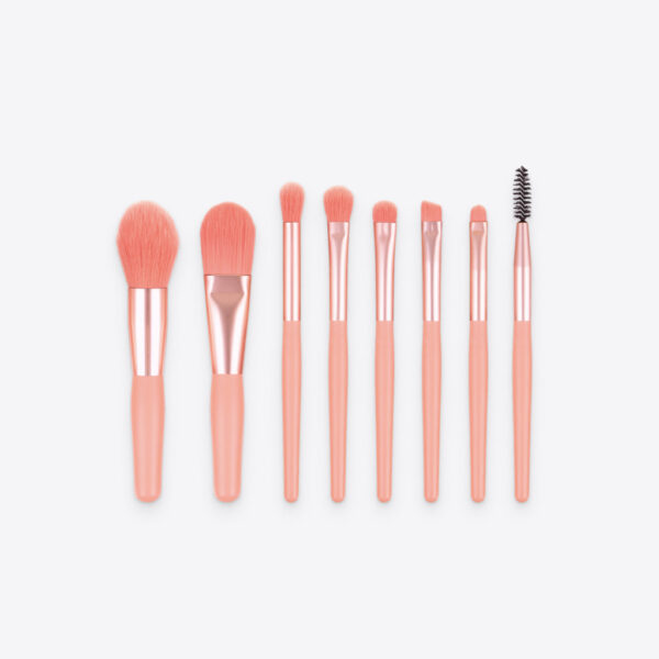 Mini 8-Piece Makeup Brush Set with various brushes.