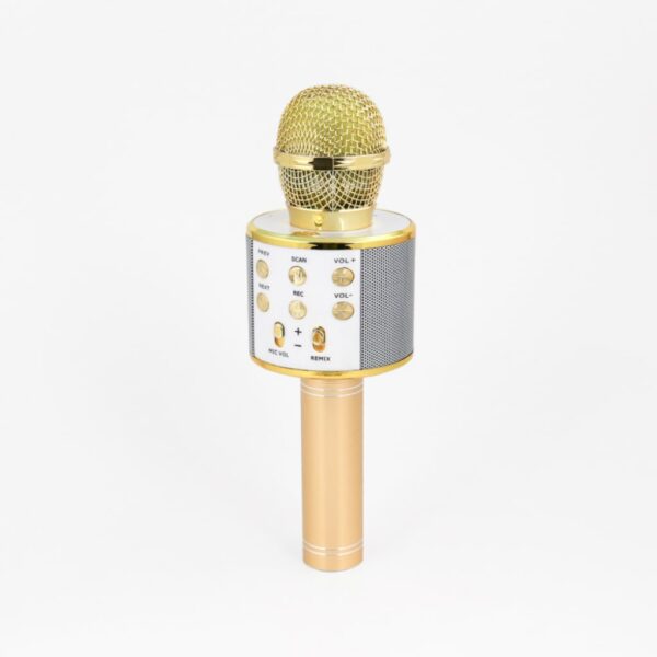 Wireless Karaoke Microphone: Sing Anywhere, Anytime!