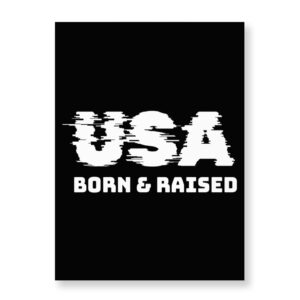 Born in the USA Wall Picture - Patriotic Decor.