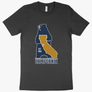 Vintage-style T-shirt featuring a California bear illustration against a sunburst backdrop.