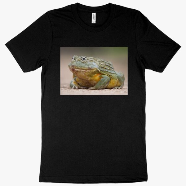 T-shirt featuring a bullfrog design with "Star Clothing Bullfrog" text.