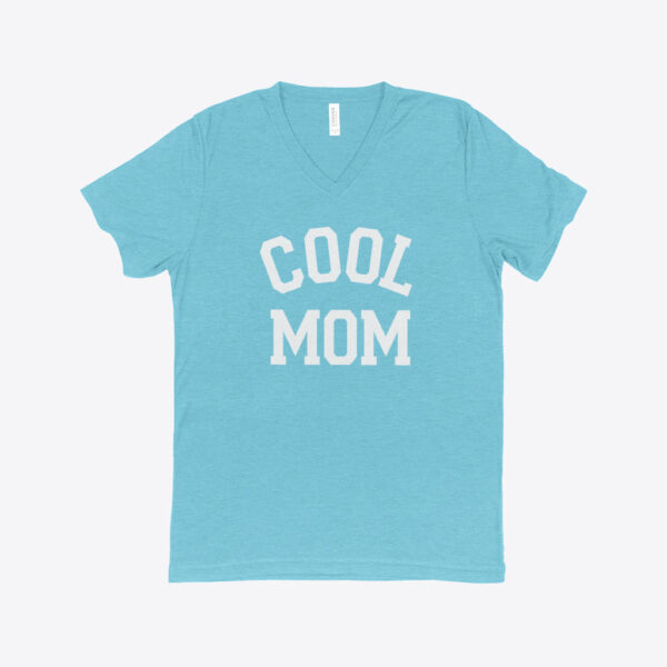 Cool Mom Women's Triblend V-Neck T-Shirt in grey.