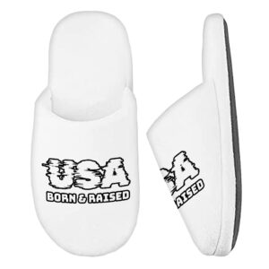 Image depicting Born in the USA Memory Foam Slippers.