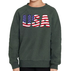 Toddler wearing a patriotic raglan sweatshirt with the USA flag.